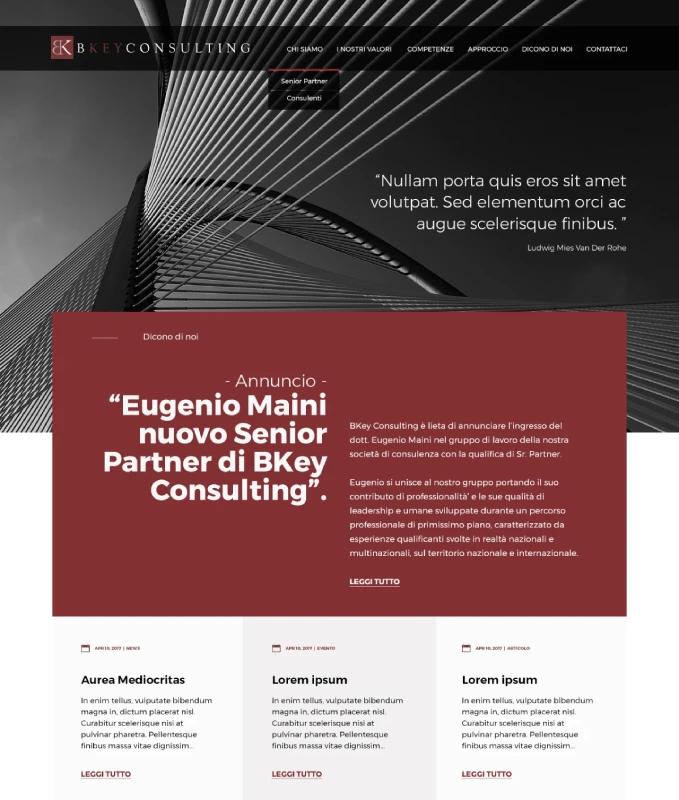 Bkey Consulting